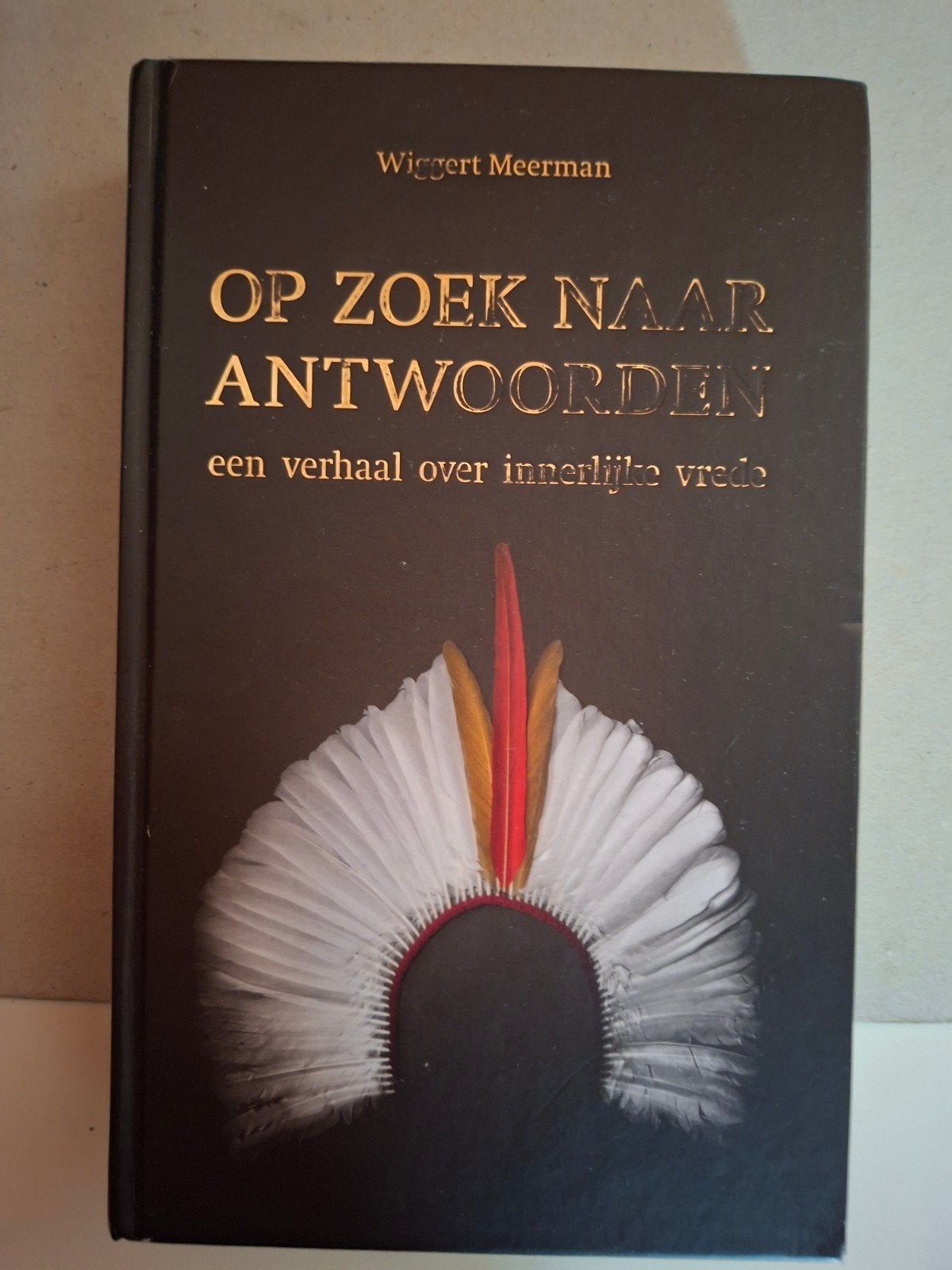 Wiggert Meerman - Op zoek naar antwoorden, Boeken, Verzenden, Zo goed als nieuw, Wiggert Meerman
