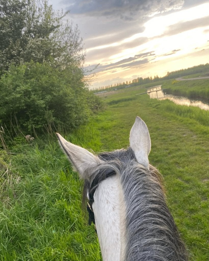 Ponyritjes Barendrecht, Ophalen, Nieuw, Recreatie