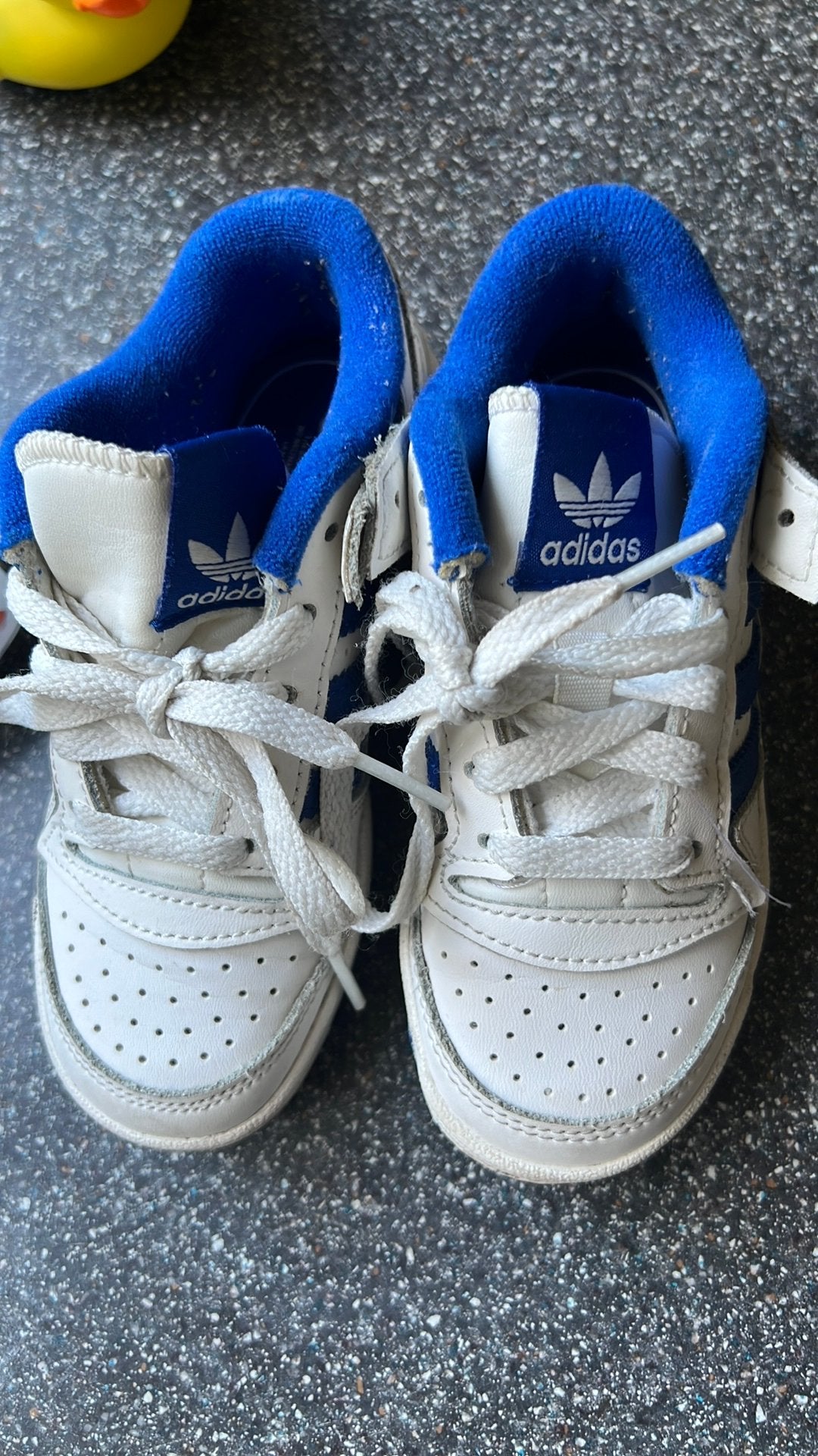 Addidas, Ophalen of Verzenden, Zo goed als nieuw, Kleding