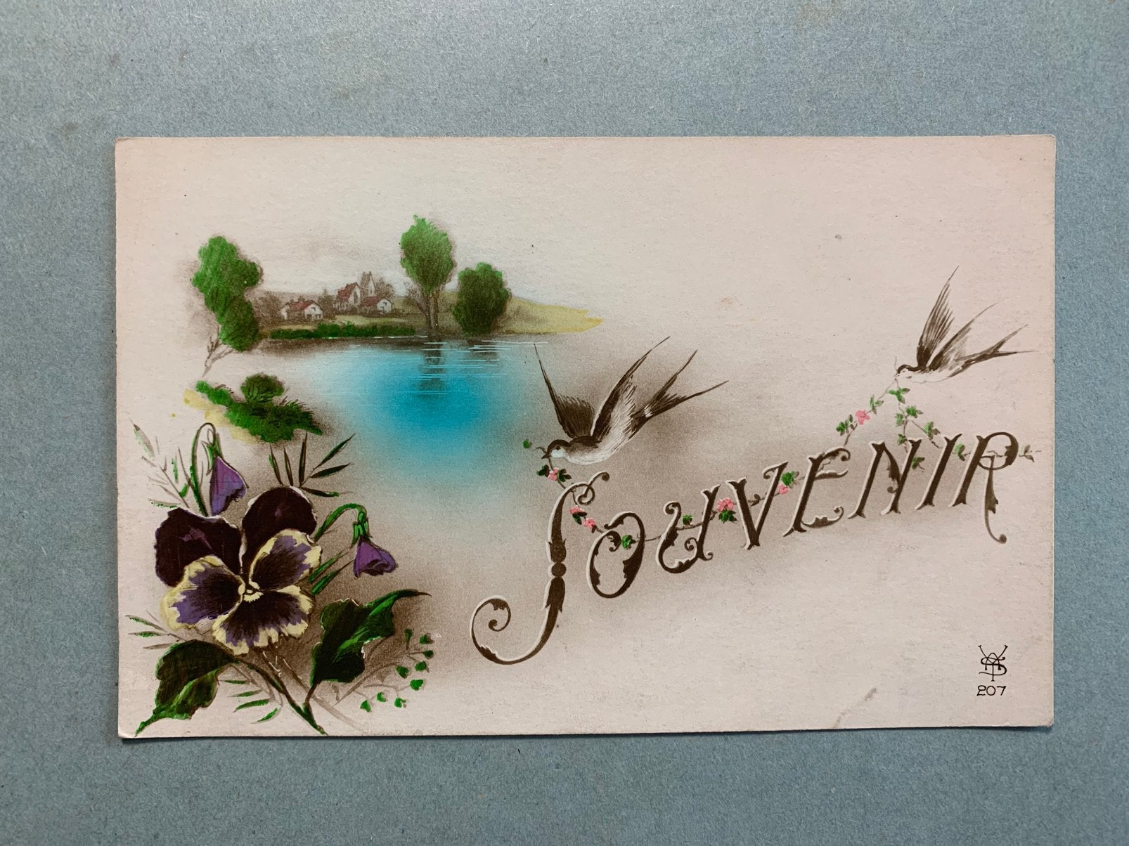 Souvenir - zwaluwen, Ophalen of Verzenden, 1920 tot 1940, Ongelopen, Overige thema's