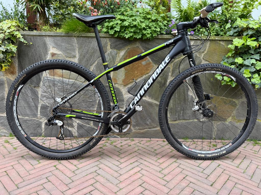 Cannondale F29 Lefty – Ultralichte 29er MTB goed onderhouden, Fietsen en Brommers, Gebruikt, Hardtail, Heren, Schijfrem