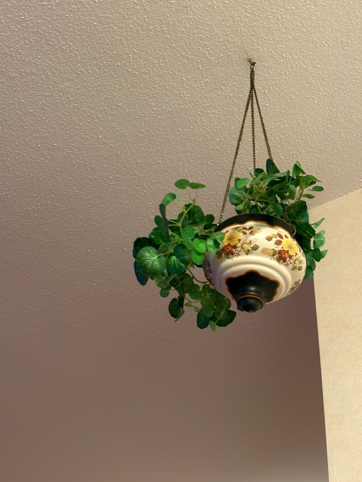 Platele bloempot hangend, Ophalen