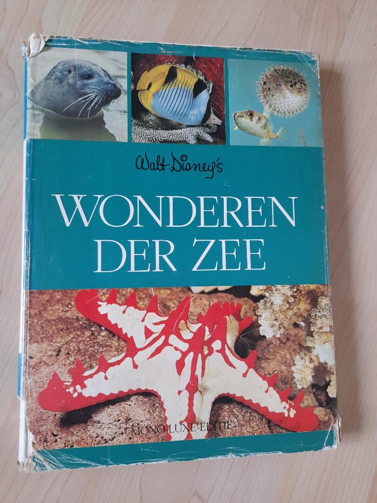 WONDEREN DER ZEE Frank de Graaf Walt Disney, Boeken, Natuur, Ophalen of Verzenden, Gelezen, Natuur algemeen