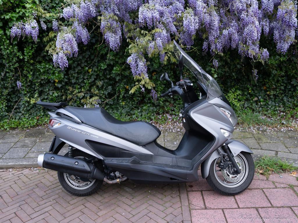Suzuki Burgman 200, Scooter, Occasion, Particulier, 200 cc