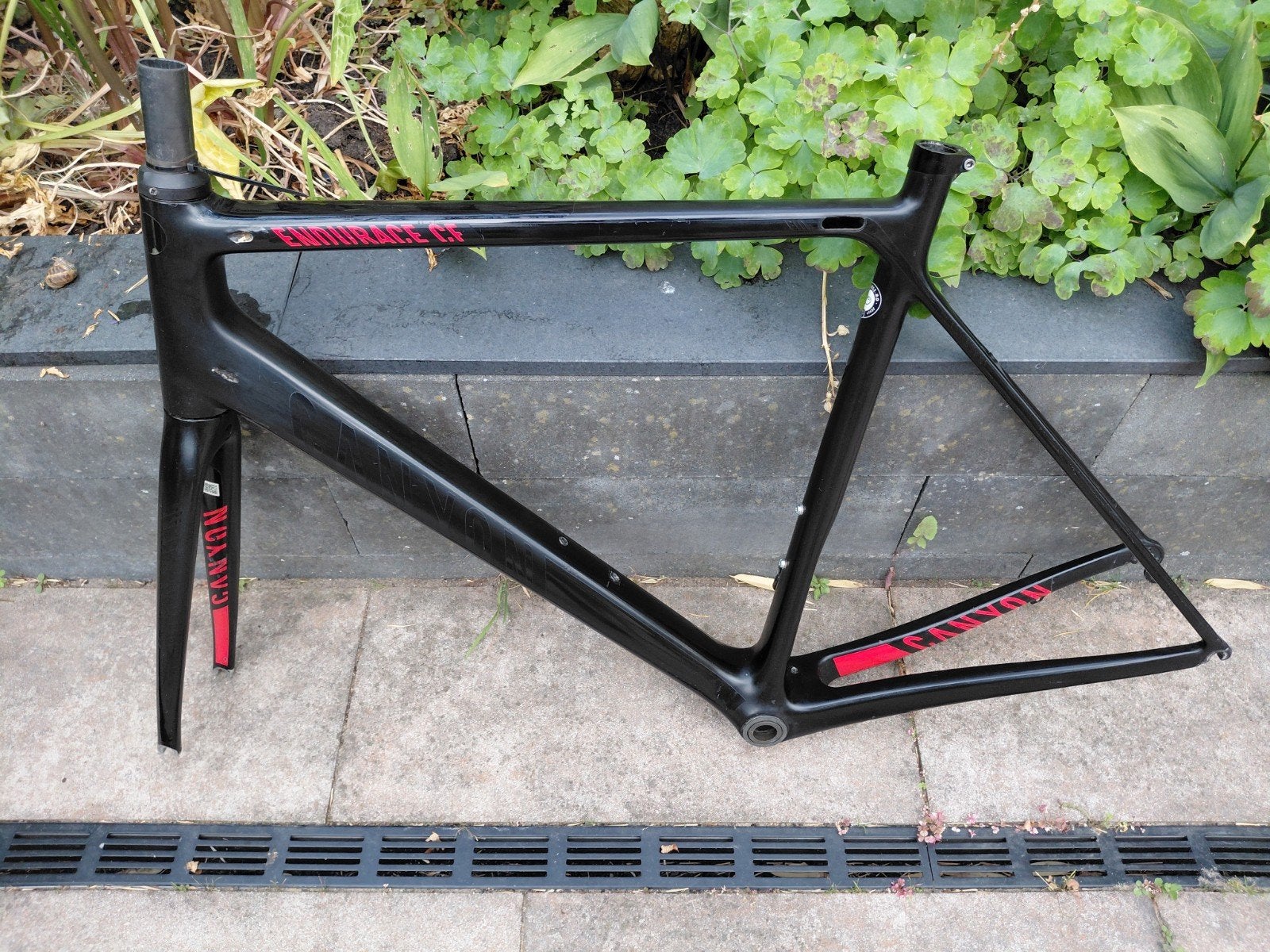 Canyon Endurance CF carbon frame, Ophalen, Frame, Gebruikt, Canyon