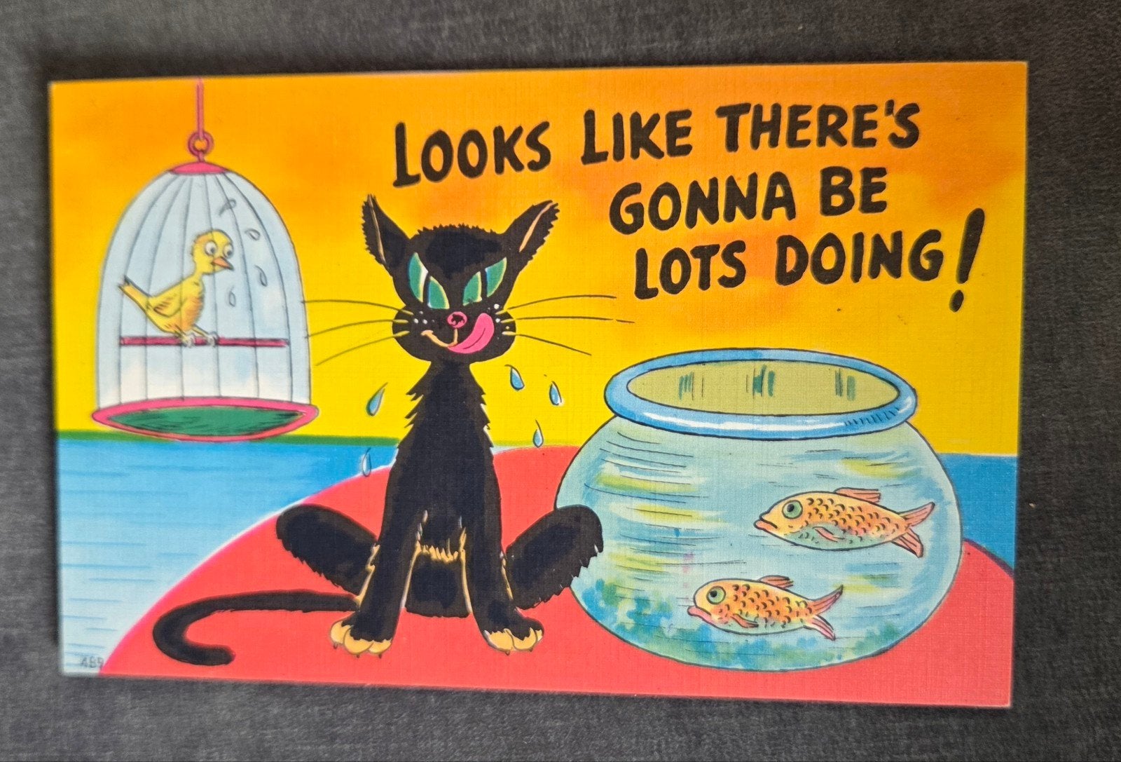 Kat, Vogel en Vissen - Humoristisch, Verzenden, 1940 tot 1960, Ongelopen, Overige thema's