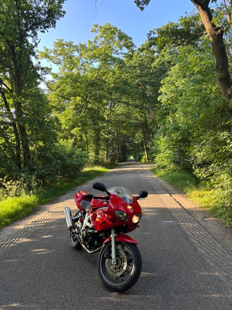 Suzuki SV 650 S (Geschikt voor A2), 2 cilinders, Gebruikt, Particulier, Overig
