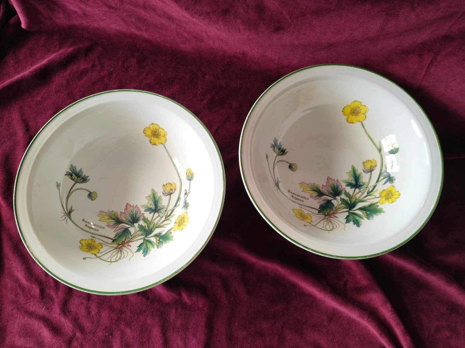 2 Enoch Wedgwood Florabunda Kommen, Ophalen of Verzenden