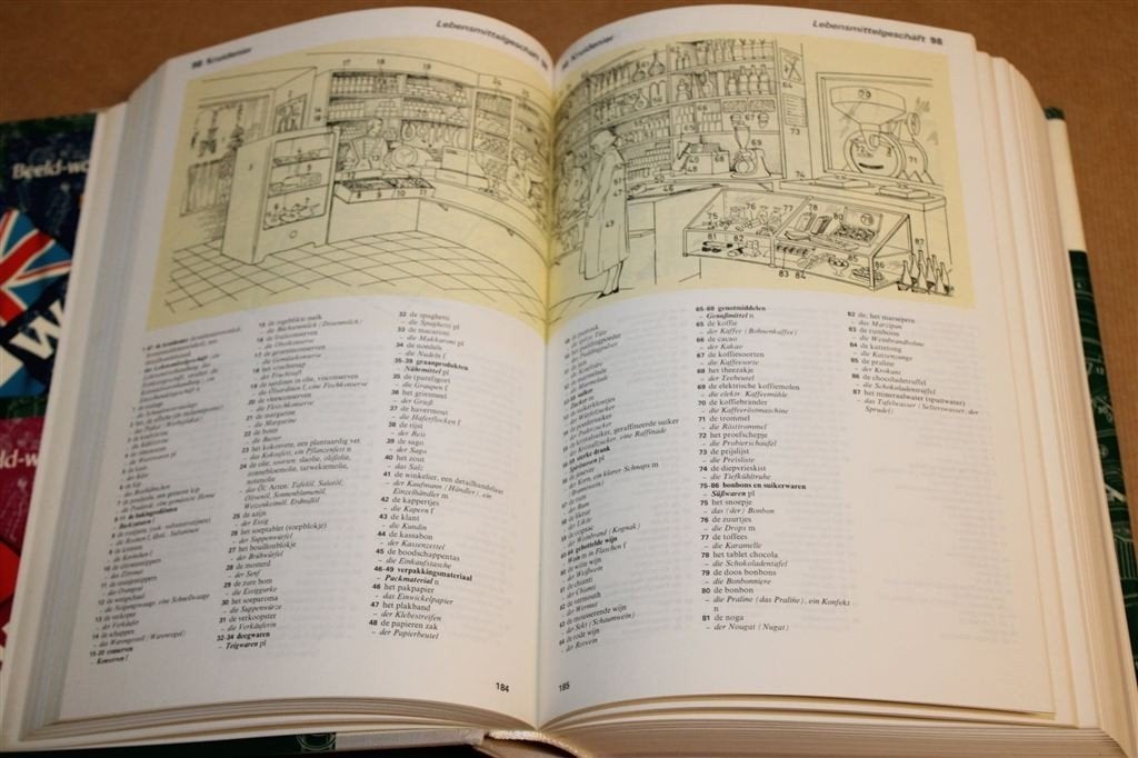 Wolters\' Beeldwoordenboek Duits-Nederlands 1986, Ophalen of Verzenden, Gelezen, Van Dale, Duits