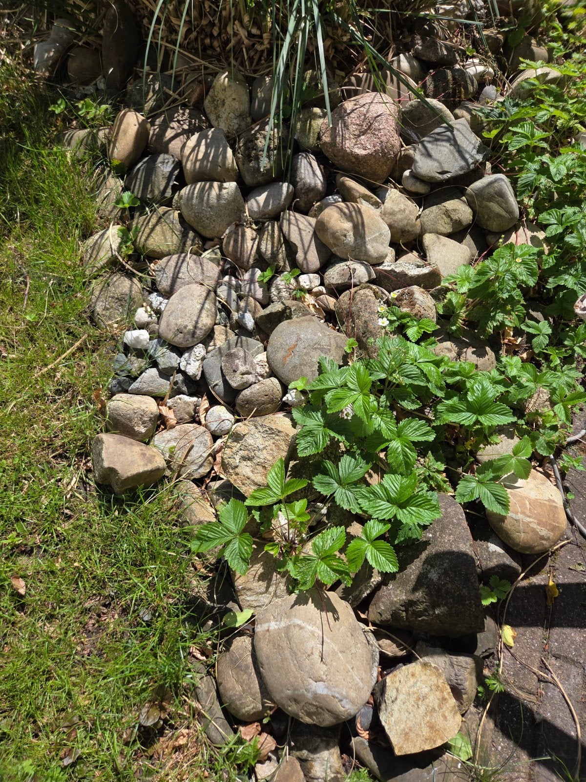Mooie keien gratis af te halen wegens verandering tuin, Tuin en Terras, Grind, Keien en Split, Ophalen of Verzenden, Gebruikt