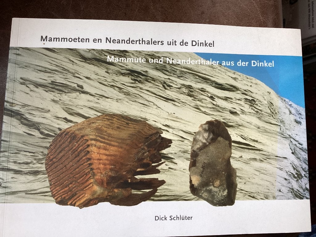 Mammoeten en Neanderthalers uit de Dinkel - Dick Schlüter, Boeken, 20e eeuw of later, Ophalen of Verzenden, Zo goed als nieuw