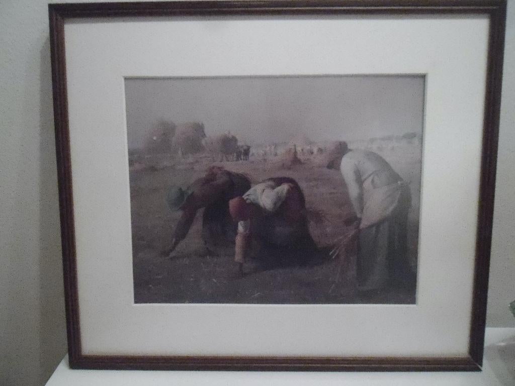schilderij, Minder dan 50 cm, Gebruikt, Ophalen of Verzenden, Print