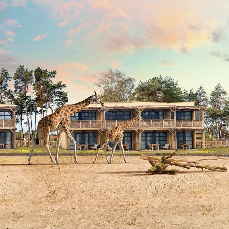 Beekse bergen dagje weg, Eén persoon, Ticket of Toegangskaart