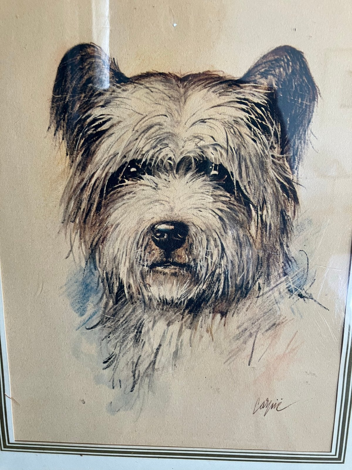 Vintage jaren '70 Cairn Terrier prent - 32x26cm, Antiek en Kunst, Ophalen of Verzenden, Tekening, Gemengde techniek
