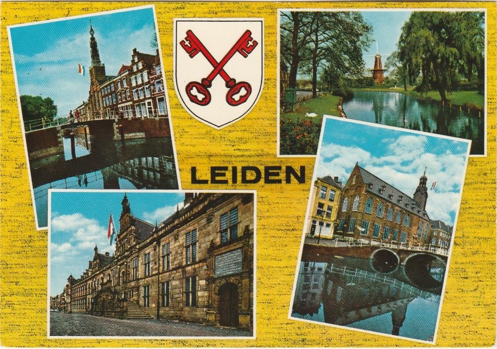 LEIDEN Steenschuur Stadhuis Molen Universiteit, Verzamelen, Ansichtkaarten | Nederland, Ongelopen, Zuid-Holland, 1960 tot 1980