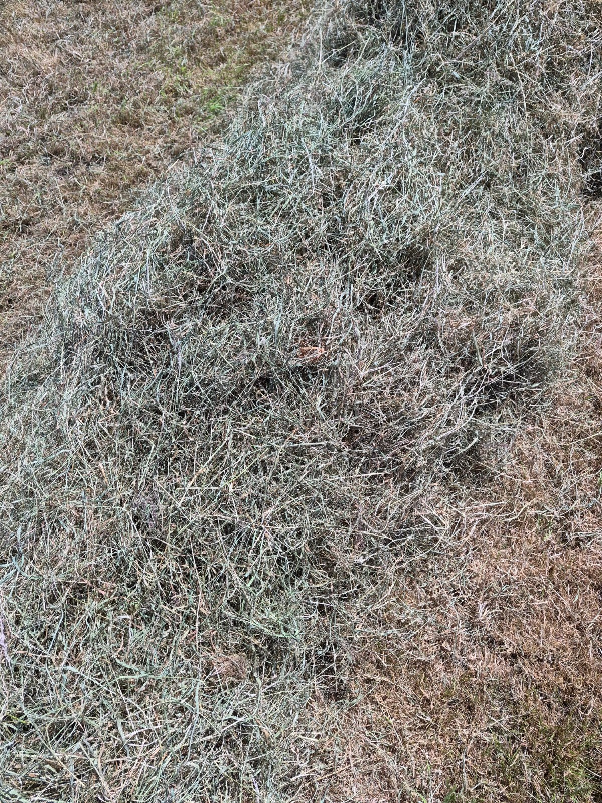Hooipakjes, Ophalen of Verzenden, Vee