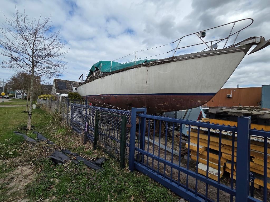Motorsailer Vilm36, Watersport en Boten, Ophalen, Gebruikt, Diesel, 9 tot 12 meter