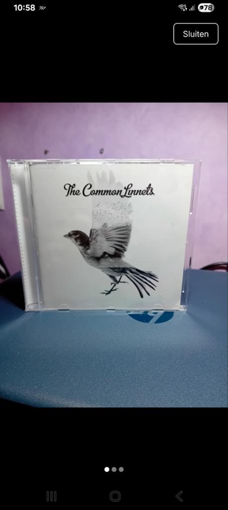 The Common Linnets CD - Pop/Country Muziek, Ophalen of Verzenden, 2010 - 2019, Zo goed als nieuw