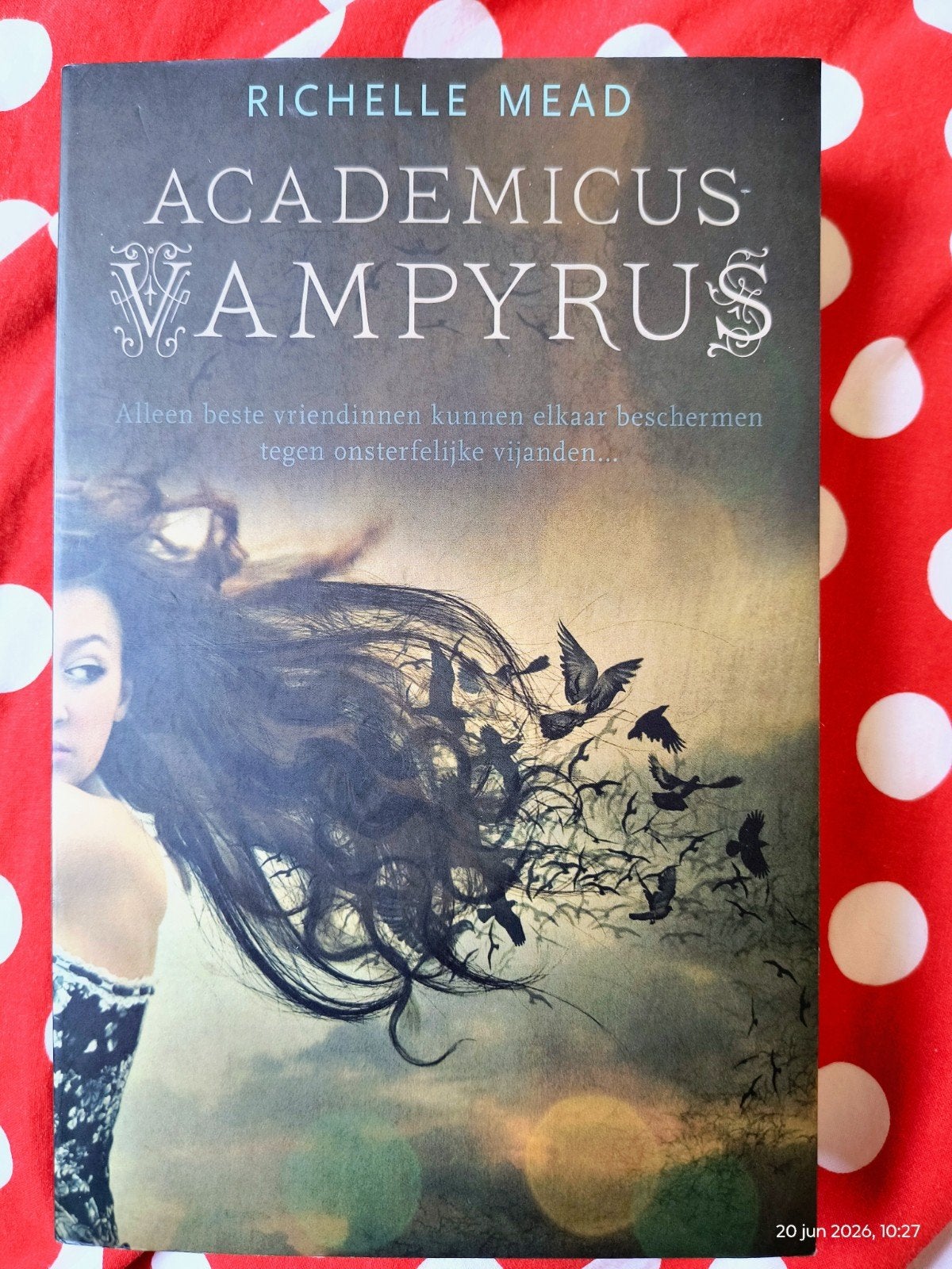 Academicus Vampyrus serie - Richelle Mead (6 boeken), Boeken, Ophalen of Verzenden, Zo goed als nieuw