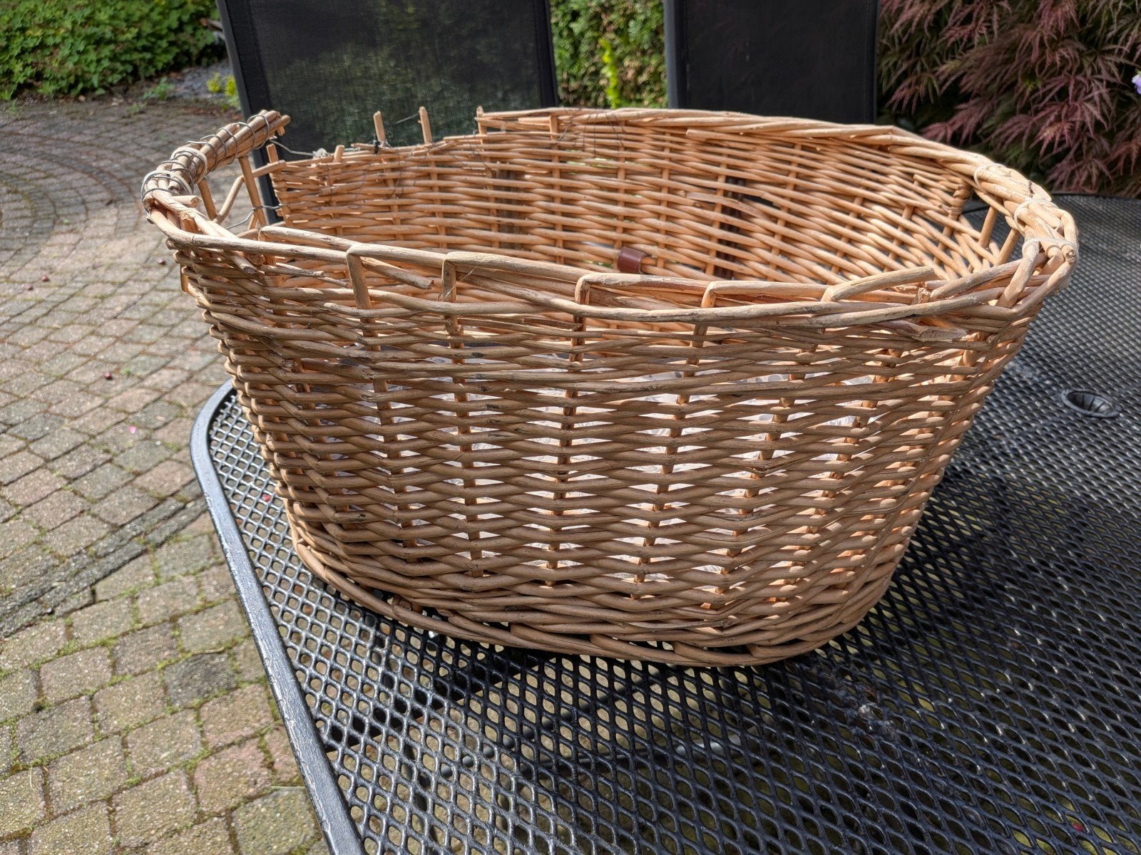 Gratis fietsmand voor klein hondje met zacht matje, Ophalen, Gebruikt, Hondenkar, Minder dan 20 kg