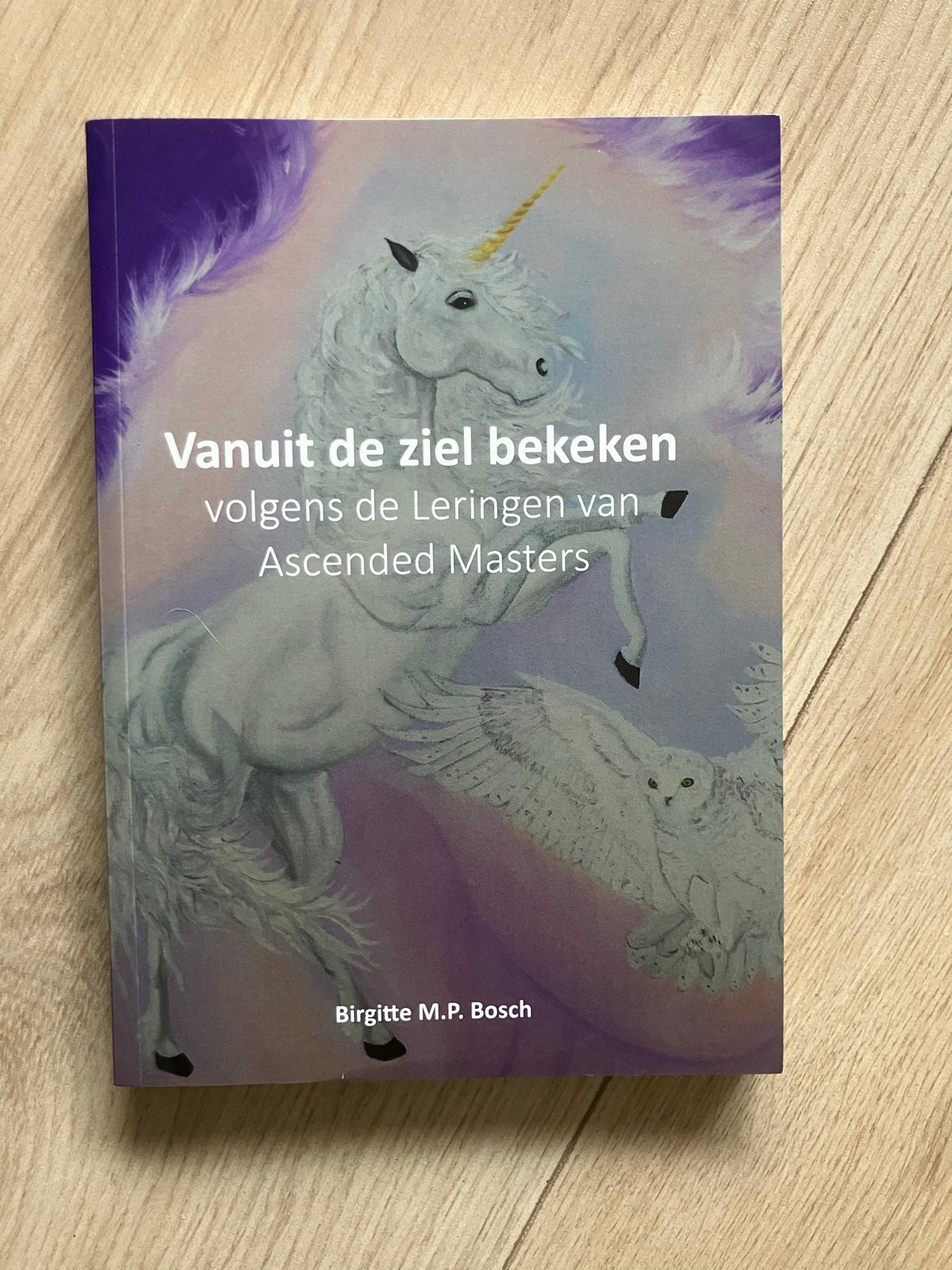 Vanuit de ziel bekeken - Birgitte M.P. Bosch, Ophalen of Verzenden, Zo goed als nieuw, Ziel of Sterfelijkheid, Achtergrond en Informatie