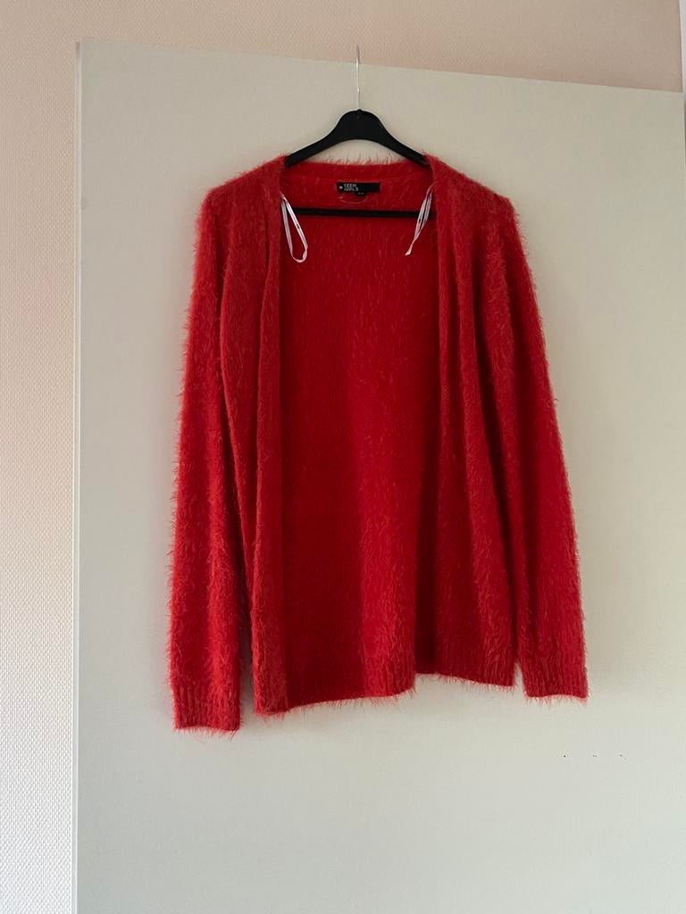 Fluffy vest, Ophalen of Verzenden, Zo goed als nieuw, Meisje, Trui of Vest