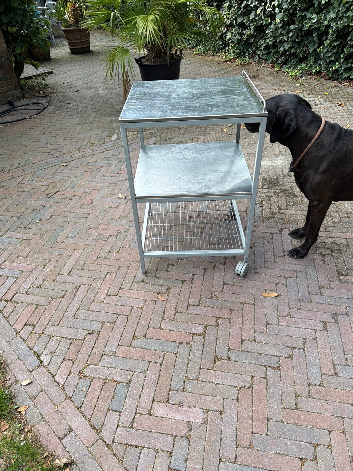 Metalen serveerwagen/bijzettafel met wielen, Gebruikt, Tot twee personen, Metaal, Rechthoekig