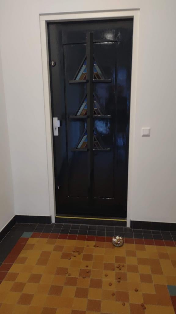 Prachtige deuren, Ophalen, Hout, Buitendeur, 200 tot 215 cm