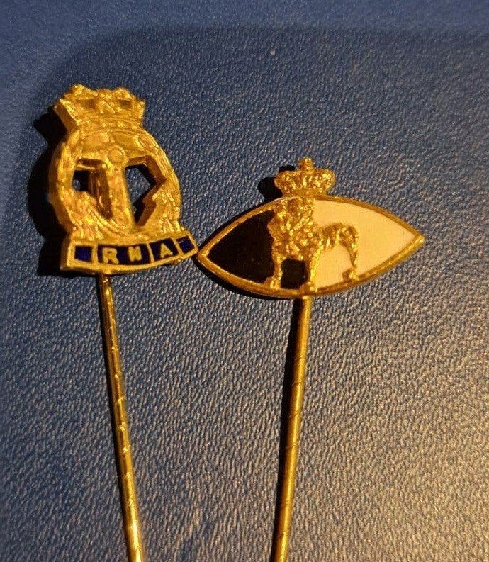 2 Britse pins: RNA Royal Navy Association & Odd Fellow, Ophalen of Verzenden