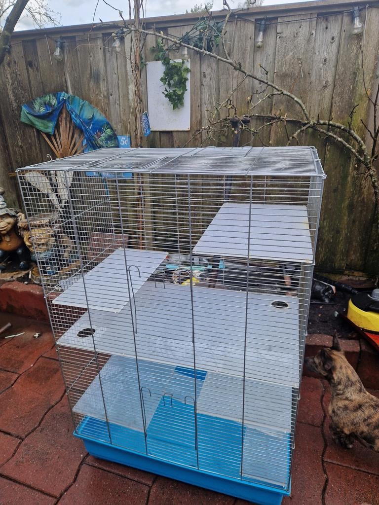 Knaagdieren of fretten kooi, Kooi, Hamster, Minder dan 75 cm, Ophalen of Verzenden
