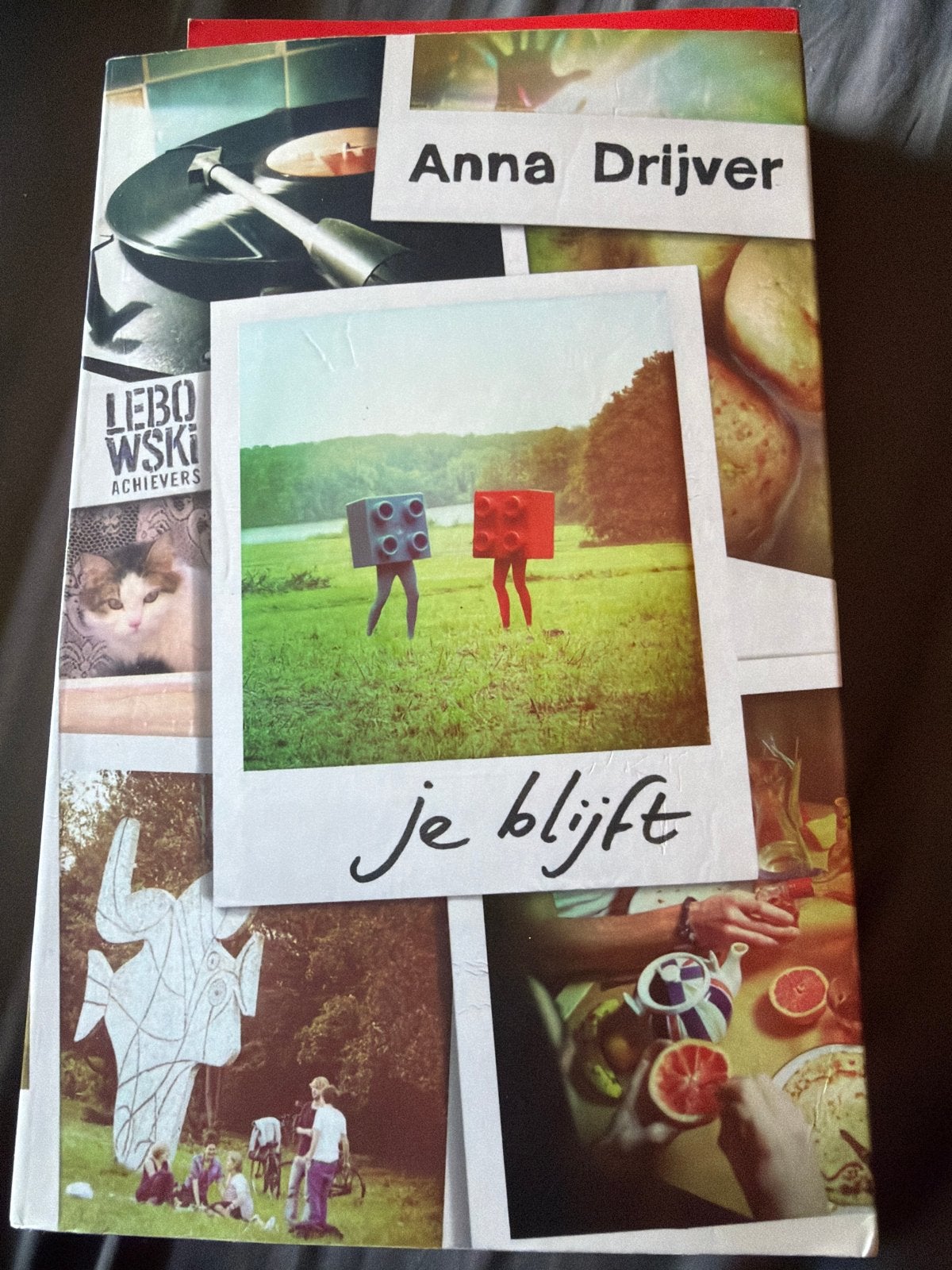 S8.  Je blijft - Anna Drijver (Boek), Verzenden, Gelezen, Nederland
