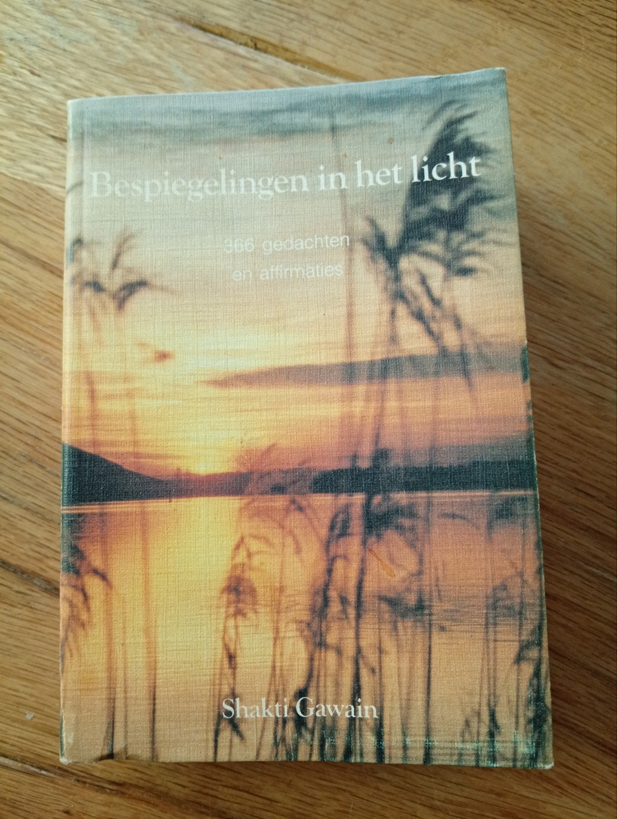 Bespiegelingen in het Licht - Shakti Gawain, Boeken, Gelezen, Achtergrond en Informatie, Spiritualiteit algemeen, Shakti Gawain
