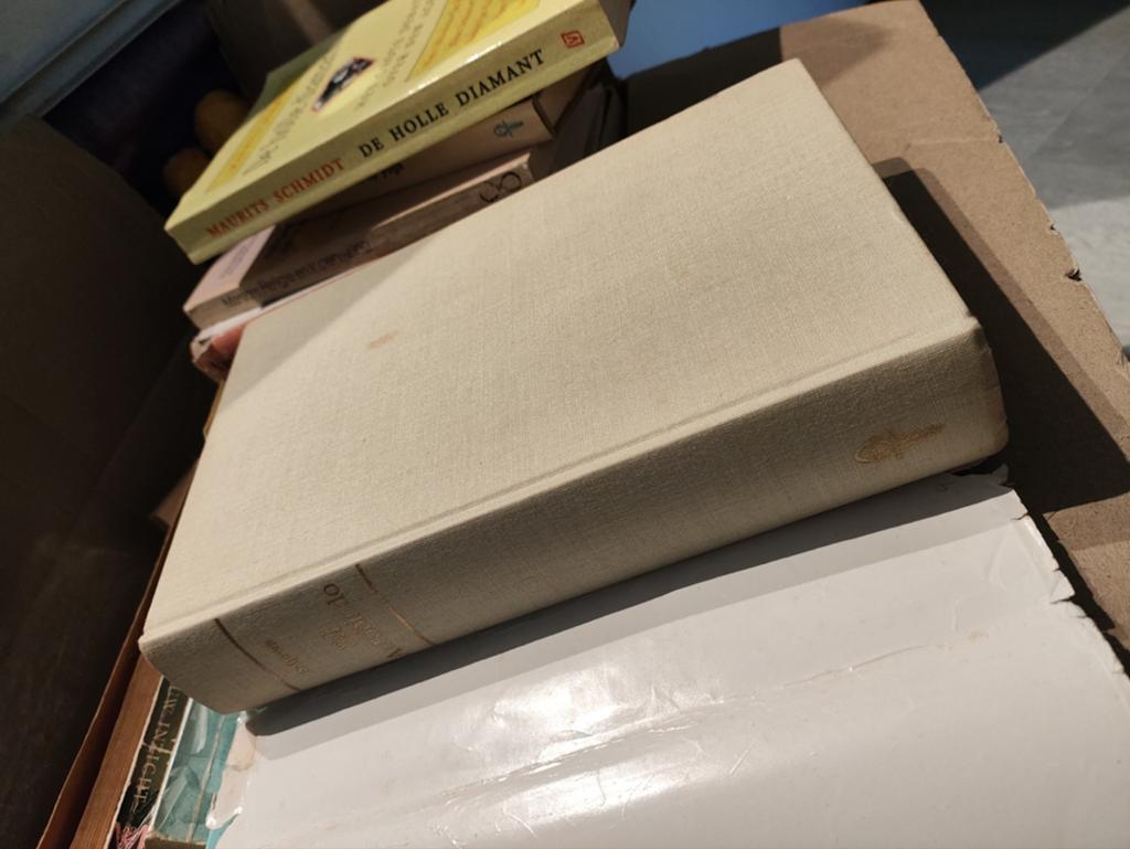 Sri Aurobindo - Het Avontuur van het Bewustzijn, Boeken, Ophalen of Verzenden, Gelezen, Spiritualiteit algemeen, Achtergrond en Informatie