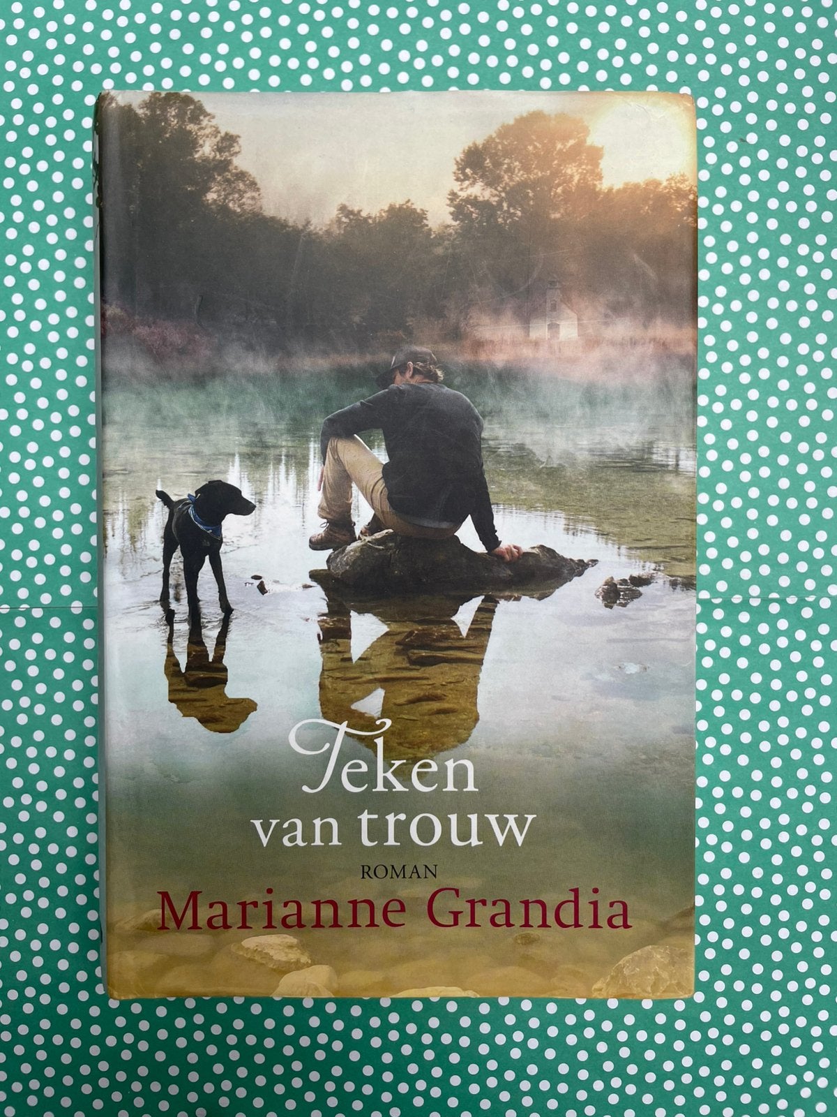 Teken van trouw, door Marianne Grandia, Ophalen of Verzenden, Gelezen, Nederland