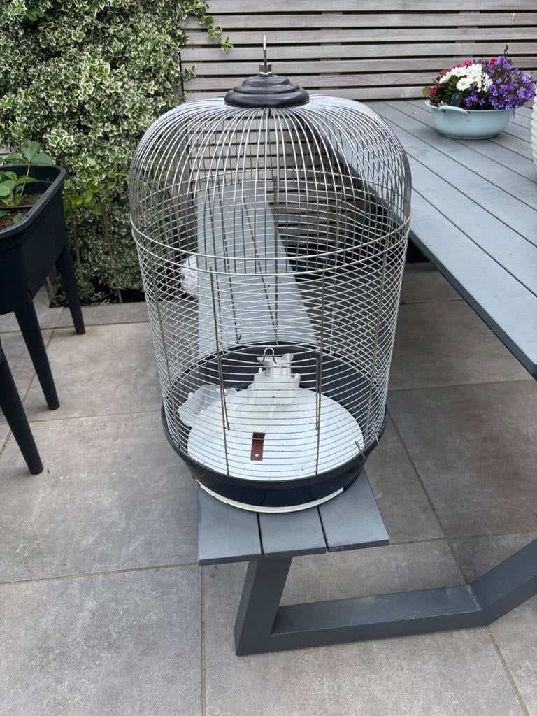 Vogelkooi, Dieren en Toebehoren, Vogels | Hokken en Kooien, Ophalen, Gebruikt, Metaal, Vogelkooi