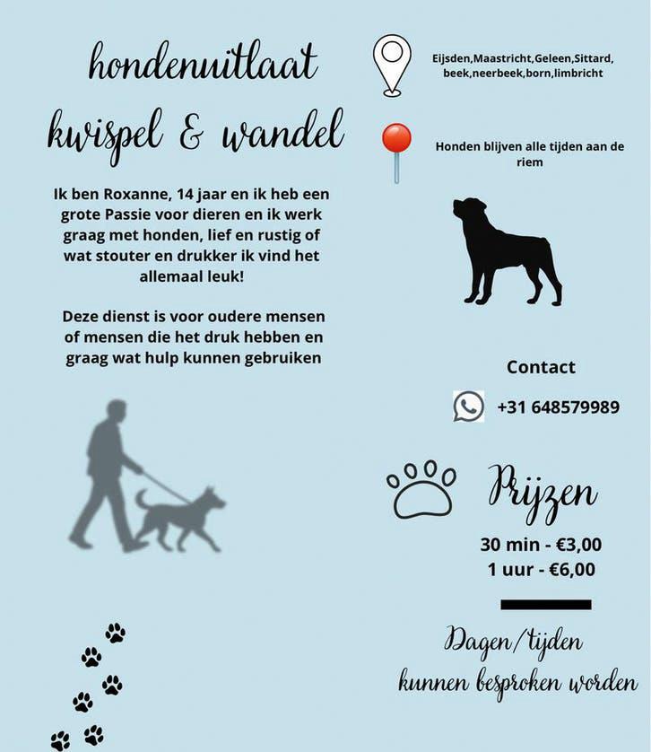 hondenuitlaat dienst/kwispel & wandel, Ophalen of Verzenden, Zo goed als nieuw