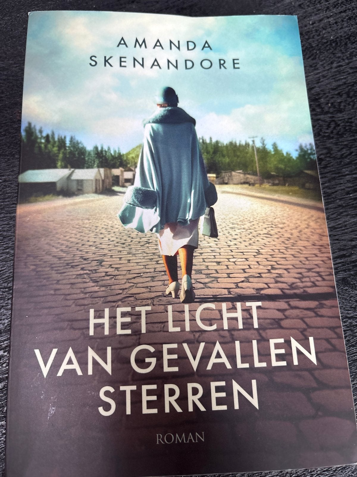 Het Licht van Gevallen Sterren - Amanda Skenandore, Ophalen of Verzenden, Gelezen, Wereld overig