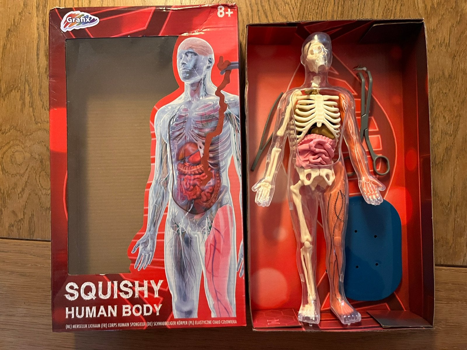 Grafix squishy human body menselijk lichaam, Ophalen of Verzenden