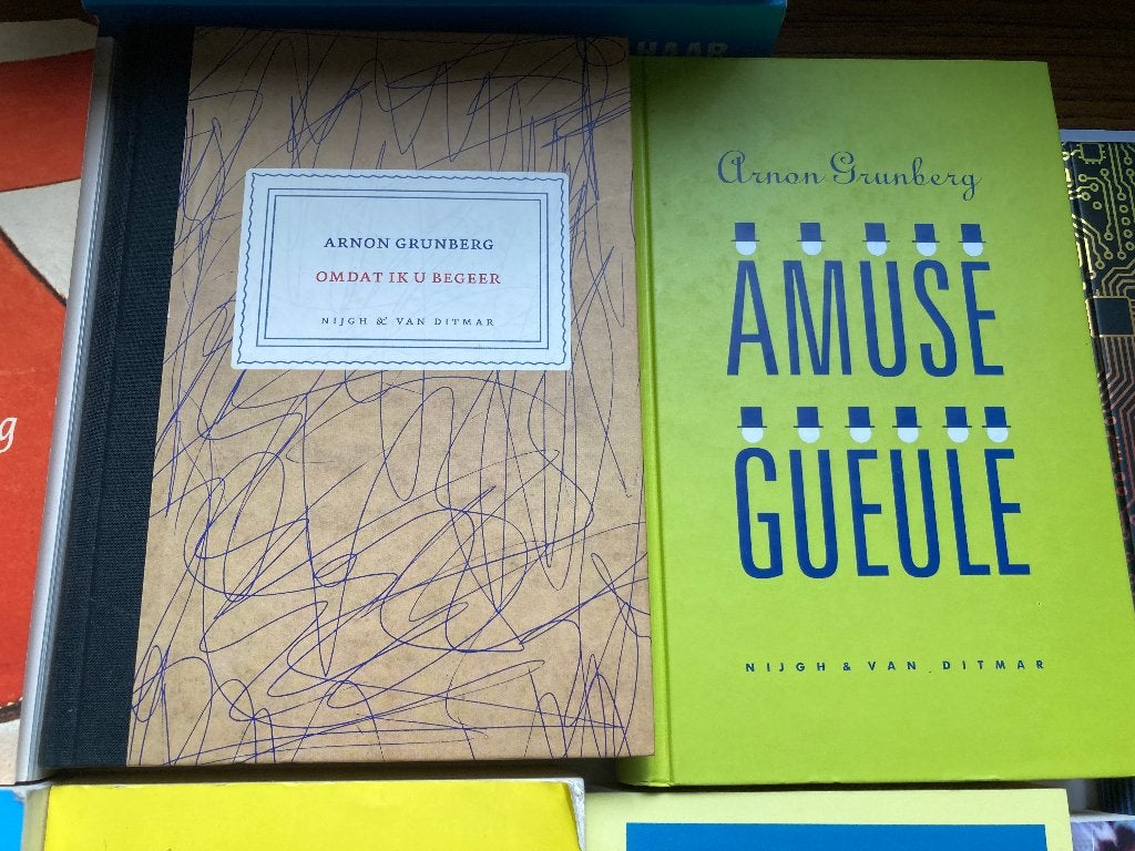 T.K. nog 9 boeken van Arnon Grunberg zie actuele lijst + DVD, Ophalen of Verzenden, Gelezen, Arnon Grunberg, Nederland