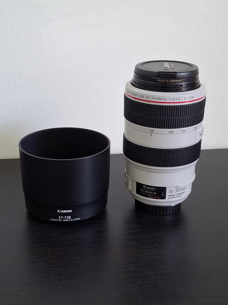Canon EF 70-300mm f/4-5.6 IS USM, Audio, Tv en Foto, Fotografie | Lenzen en Objectieven, Zo goed als nieuw, Telelens, Zoom, Ophalen of Verzenden