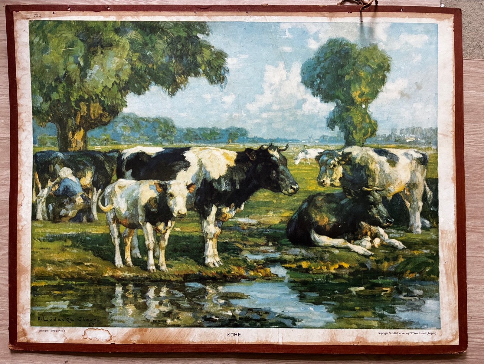Originele Duitse schoolplaat "Kühe" - August Lüdecke-Cleve, Antiek en Kunst, Ophalen, Natuur en Biologie