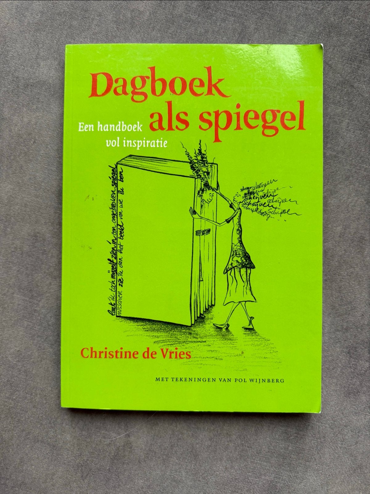Dagboek als spiegel - Christine de Vries (Handboek), Boeken, Ophalen of Verzenden, Alpha, Zo goed als nieuw