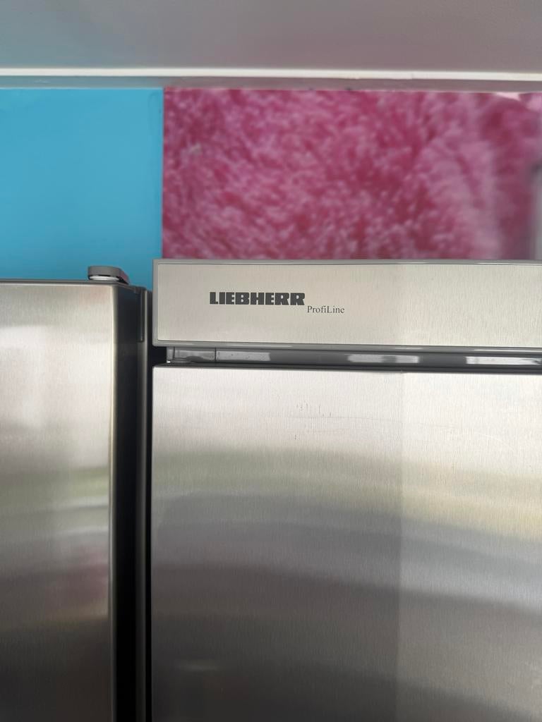 Liebherr GGV 5060 ProfiLine Vrieskast - RVS, Witgoed en Apparatuur, Vriezers en Diepvrieskisten, Gebruikt, 160 cm of meer, Ophalen