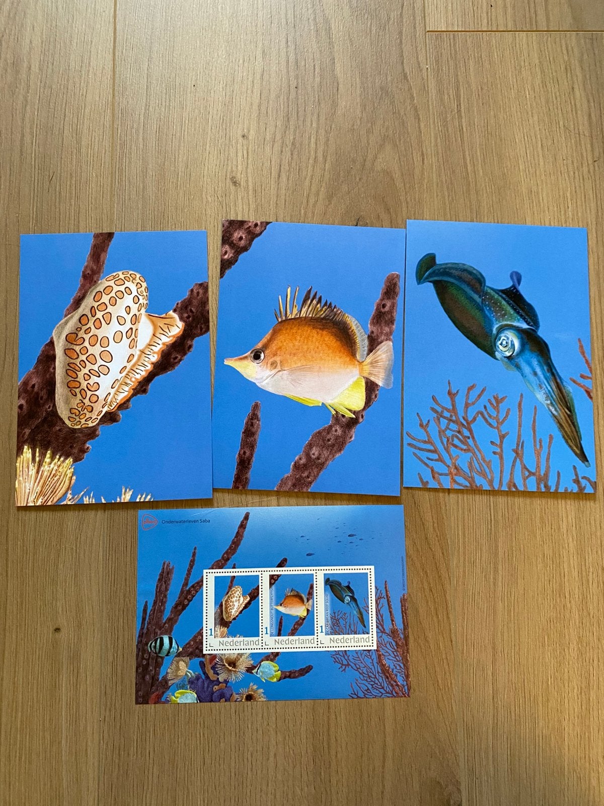 Nieuw postzegels en ansichtkaarten onderwaterleven Saba, Postzegels en Munten, Ophalen of Verzenden, Briefkaart