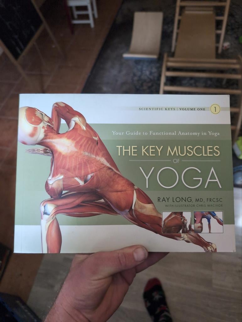 The Key Muscles of Yoga: Functionele Anatomie in Yoga, Ophalen of Verzenden, Zo goed als nieuw, Gezondheid en Conditie, Ray Long