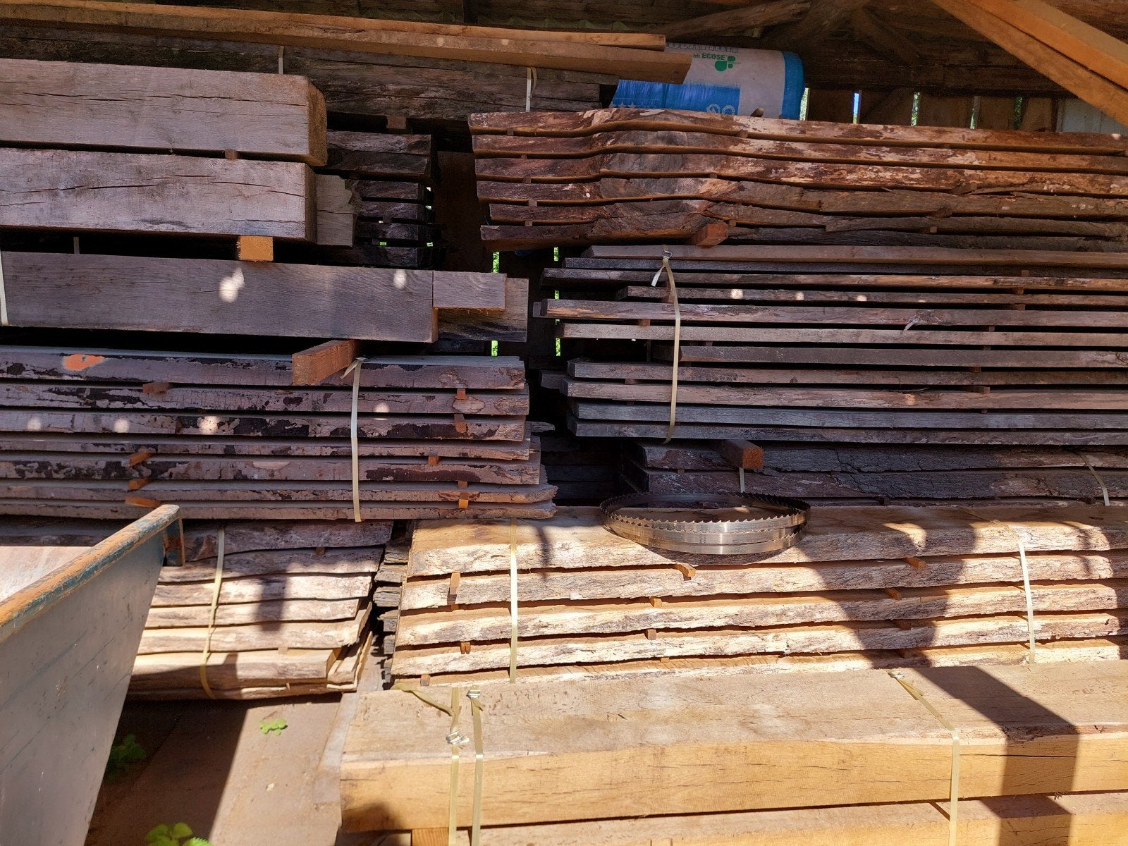 Eiken iepen beuken, Ophalen