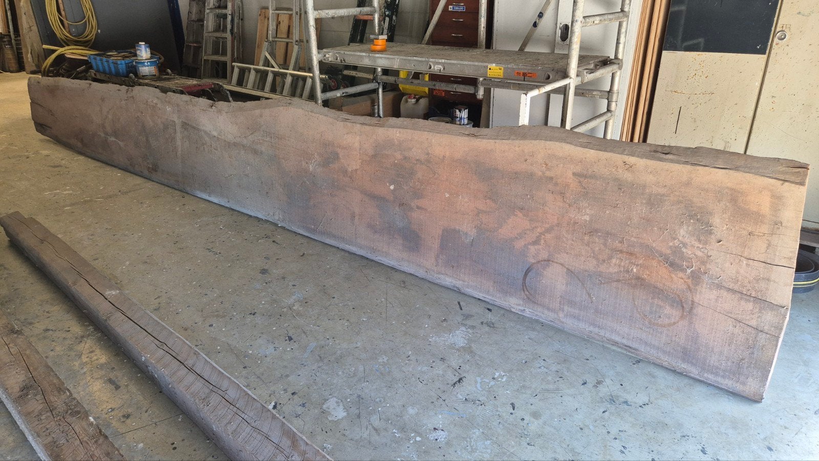 XXL stamtafel / boomstamtafel / schaalblad lengte 6,50 m., Gebruikt, 25 tot 50 mm, Ophalen of Verzenden, Plank