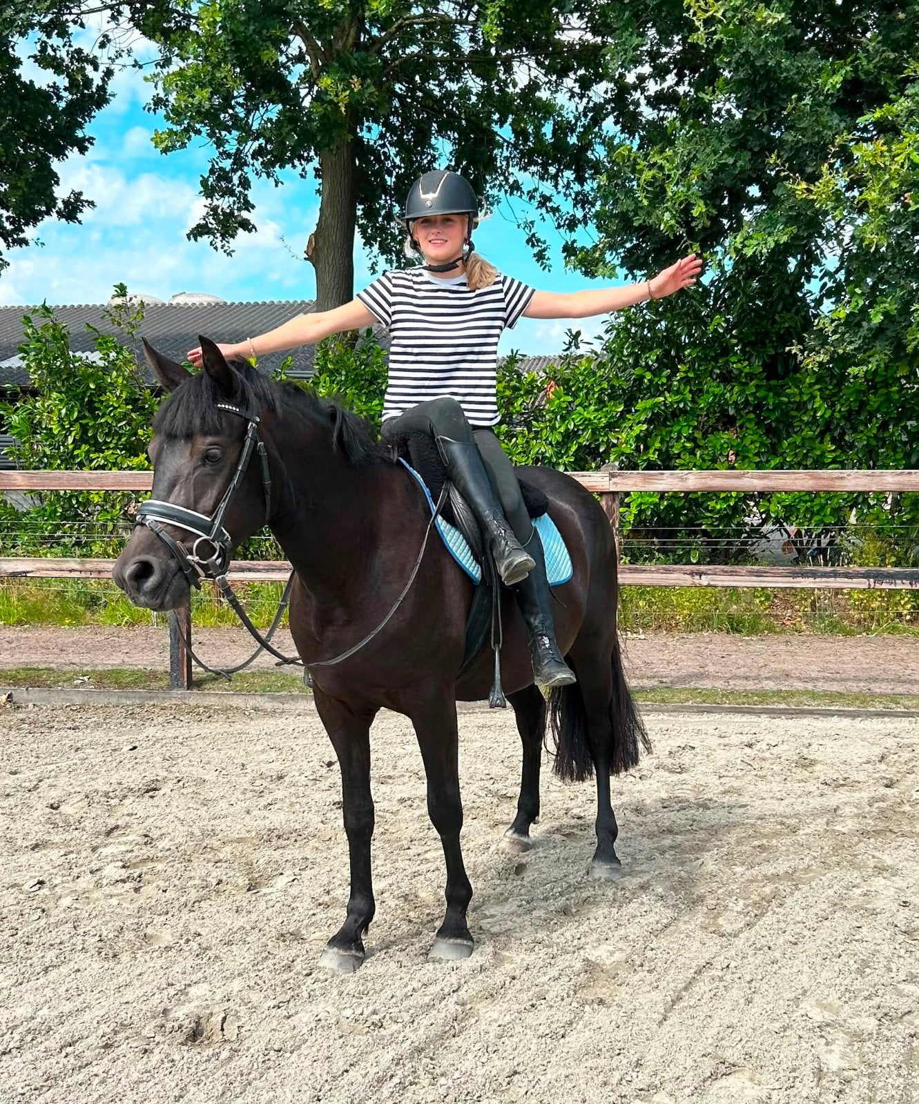 Mega brave nuchtere New Forest merrie, Dieren en Toebehoren, Pony's, Merrie, Met stamboom, Dressuurpony, 3 tot 6 jaar