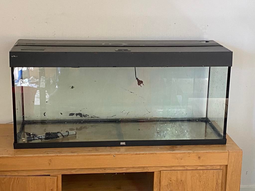 Leeg juwel 120 cm, Dieren en Toebehoren, Ophalen, Gebruikt