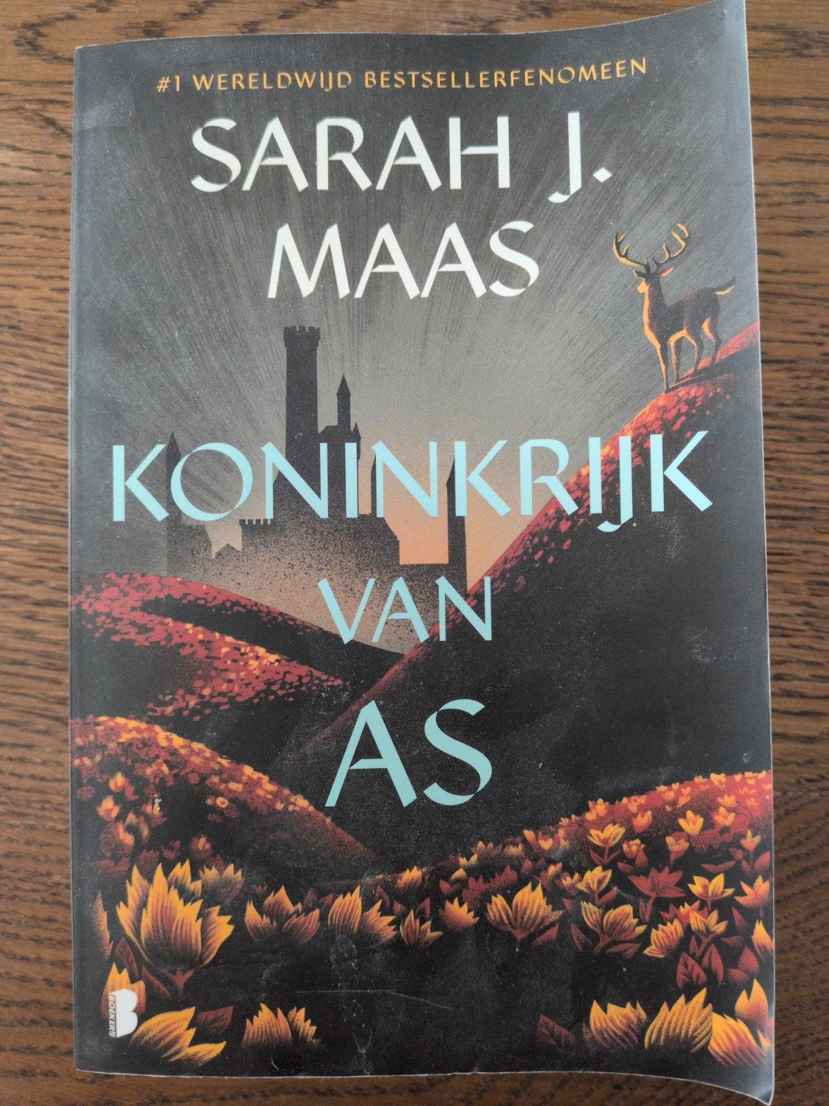 Koninkrijk van As - Sarah J. Maas (Ongelezen), Ophalen of Verzenden, Nieuw, Sarah J. Maas